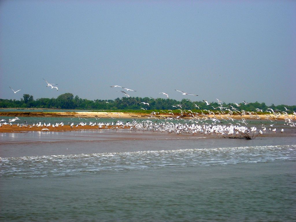 Chilika beach holiday package